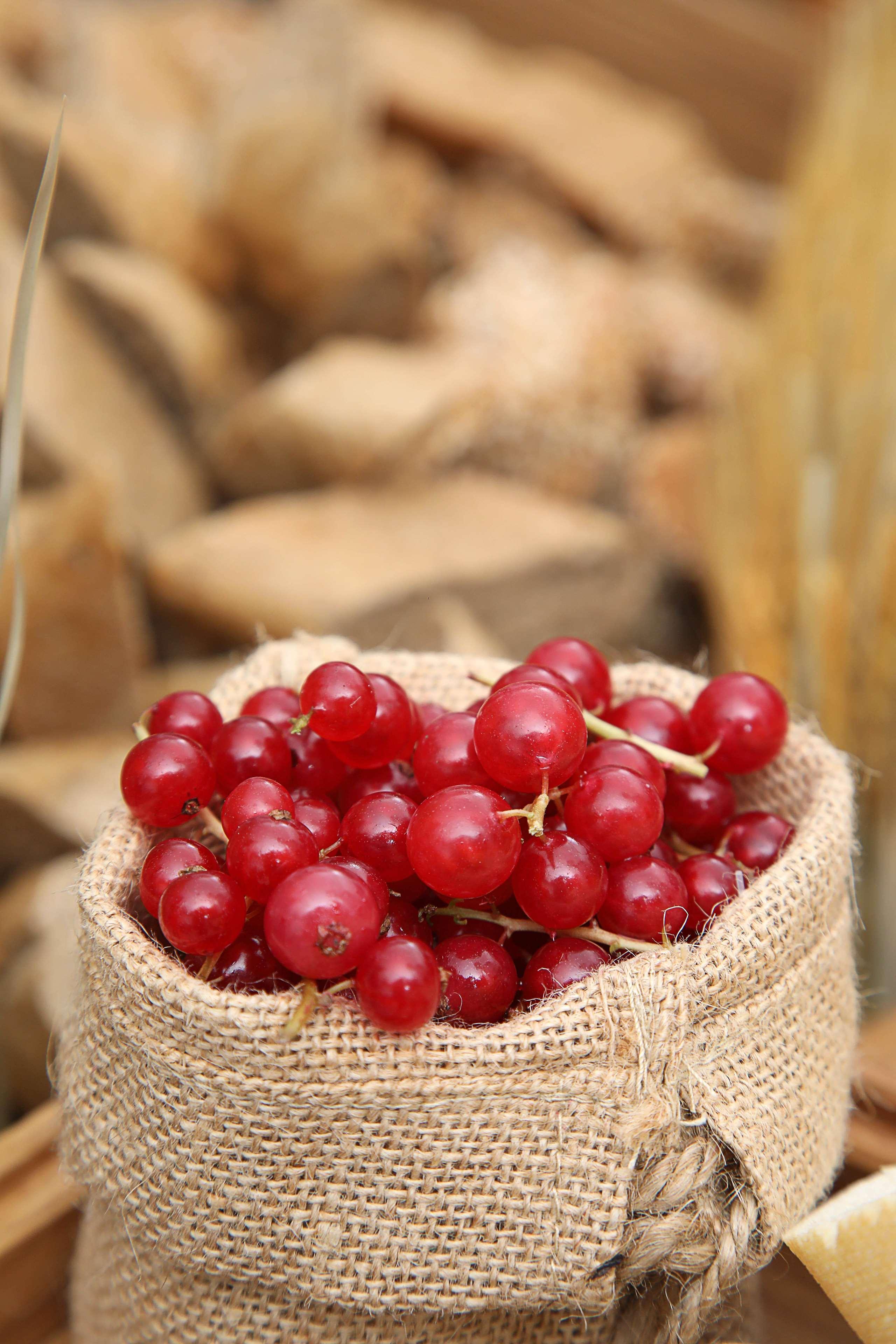 迪拜大都会大酒店 外观 照片 The photo shows a burlap sack filled with clusters of bright red berries. The berries appear to be fresh and glistening, suggesting they are ripe. In the background, there are blurred wooden logs, which add a rustic feel to the image. The overall com